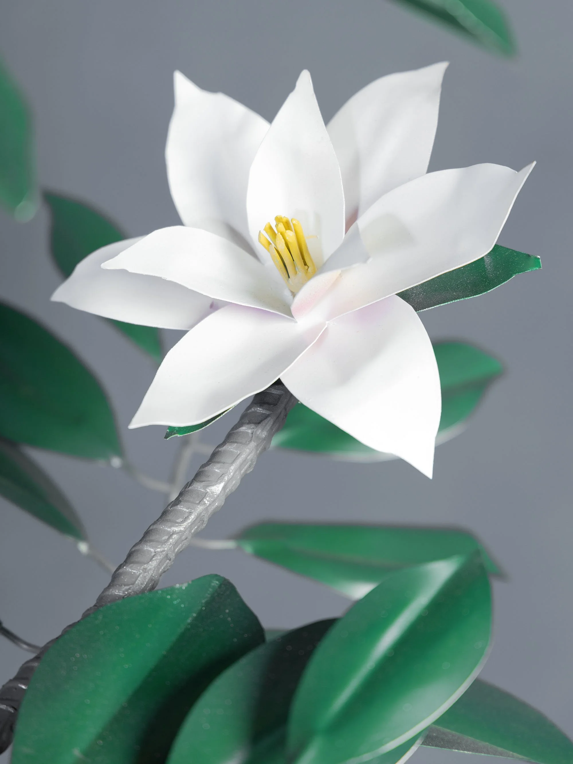 B48A7473FLOWERTREE.jpg