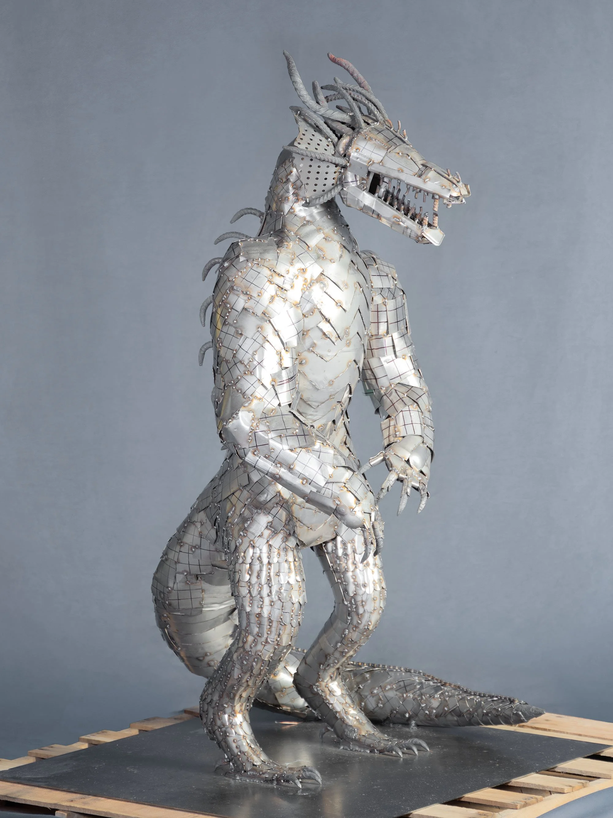 B48A7488DRAGONGUY.jpg