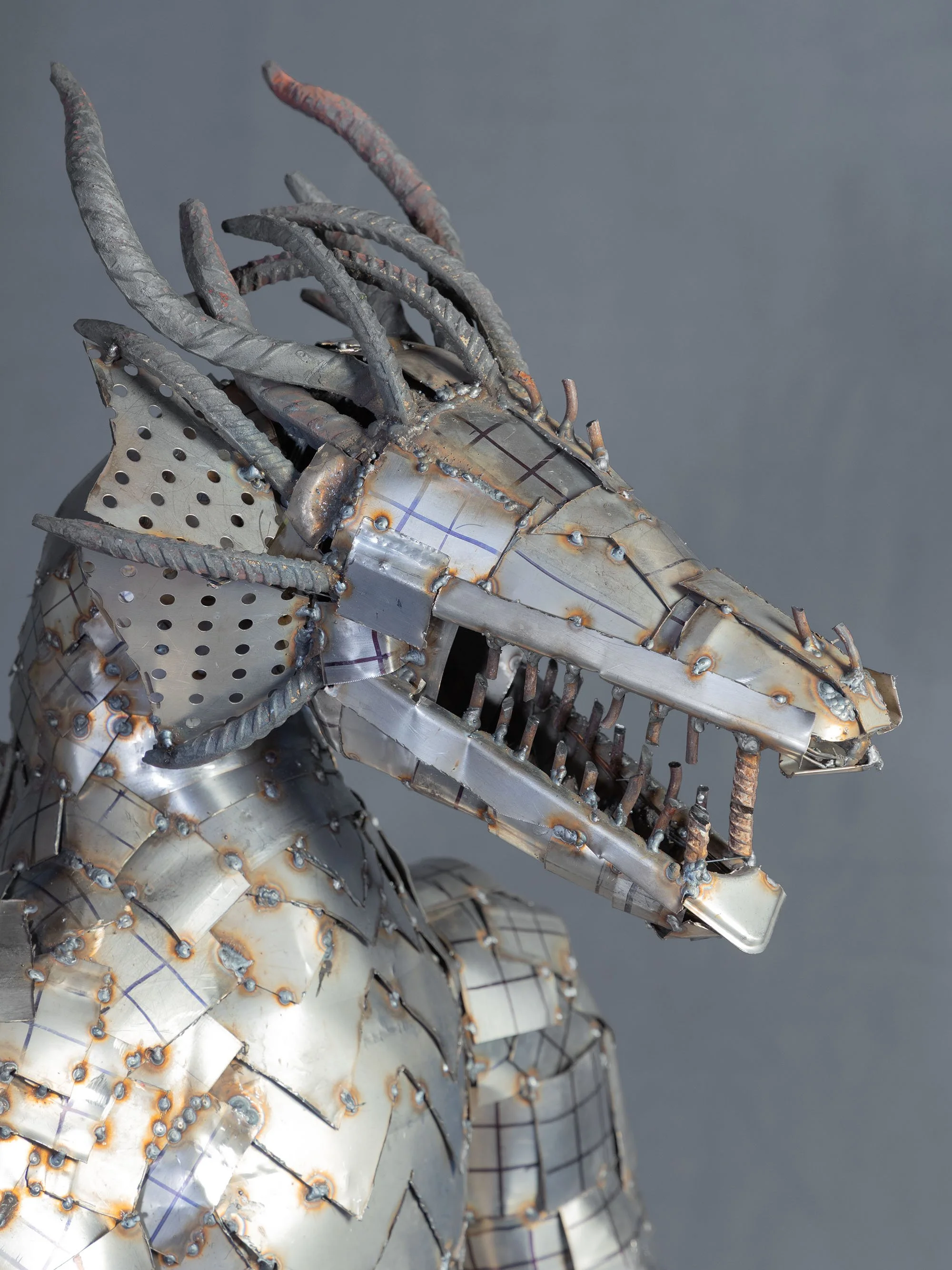 B48A7493DRAGONGUY.jpg
