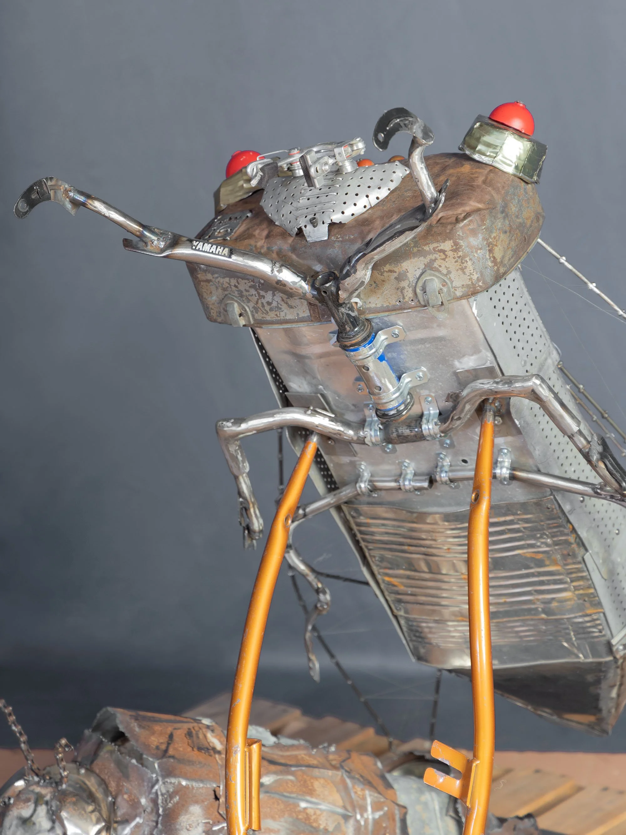 B48A7531TWOBUGS.jpg
