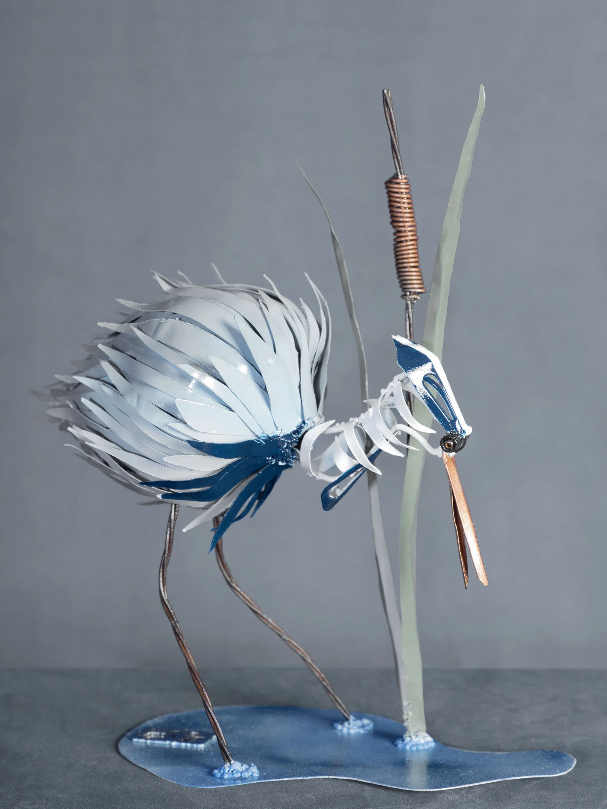 B48A7607WATERBIRD.jpg