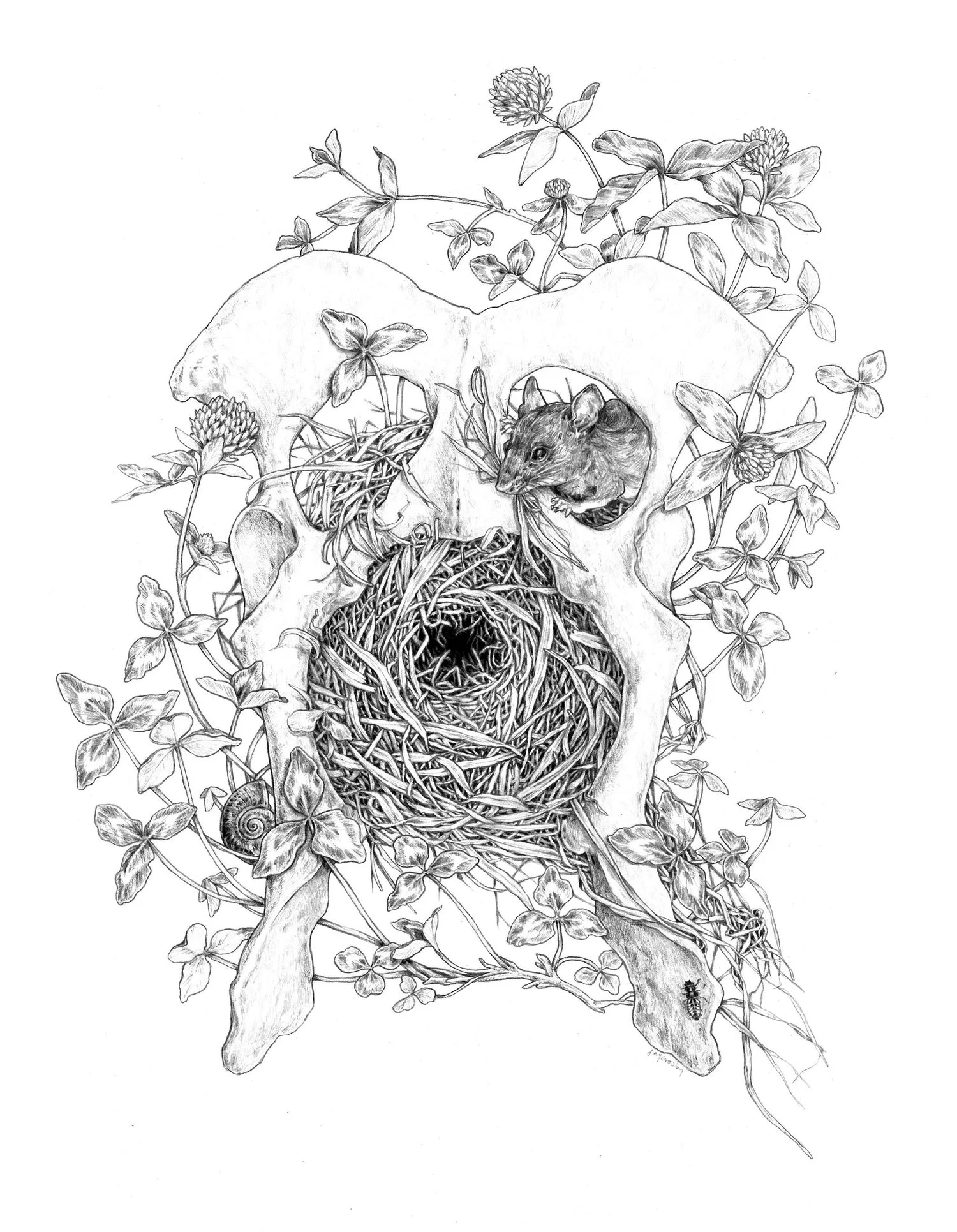 Sketch002.jpg