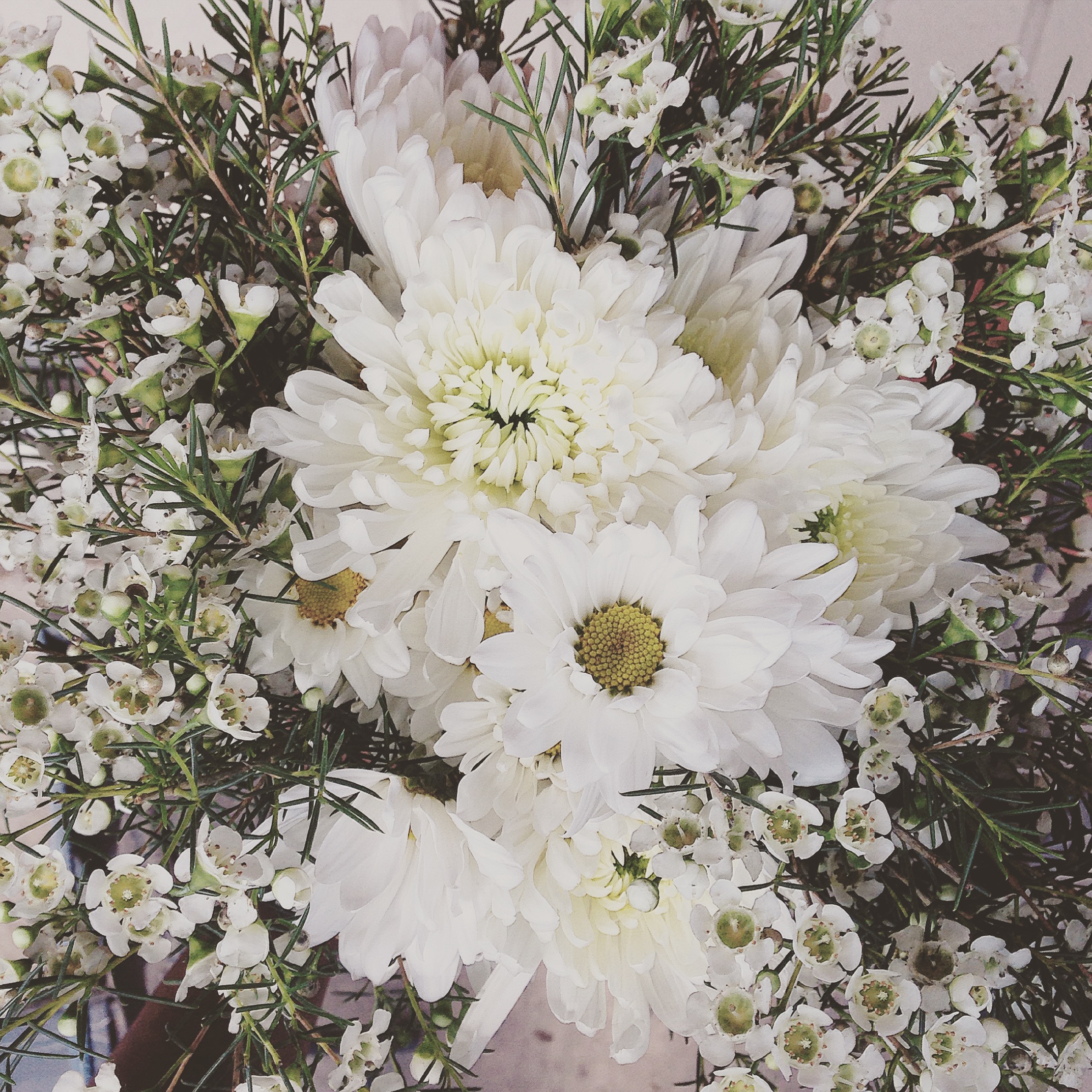 Dîner en Blanc: An Exquisite Affair