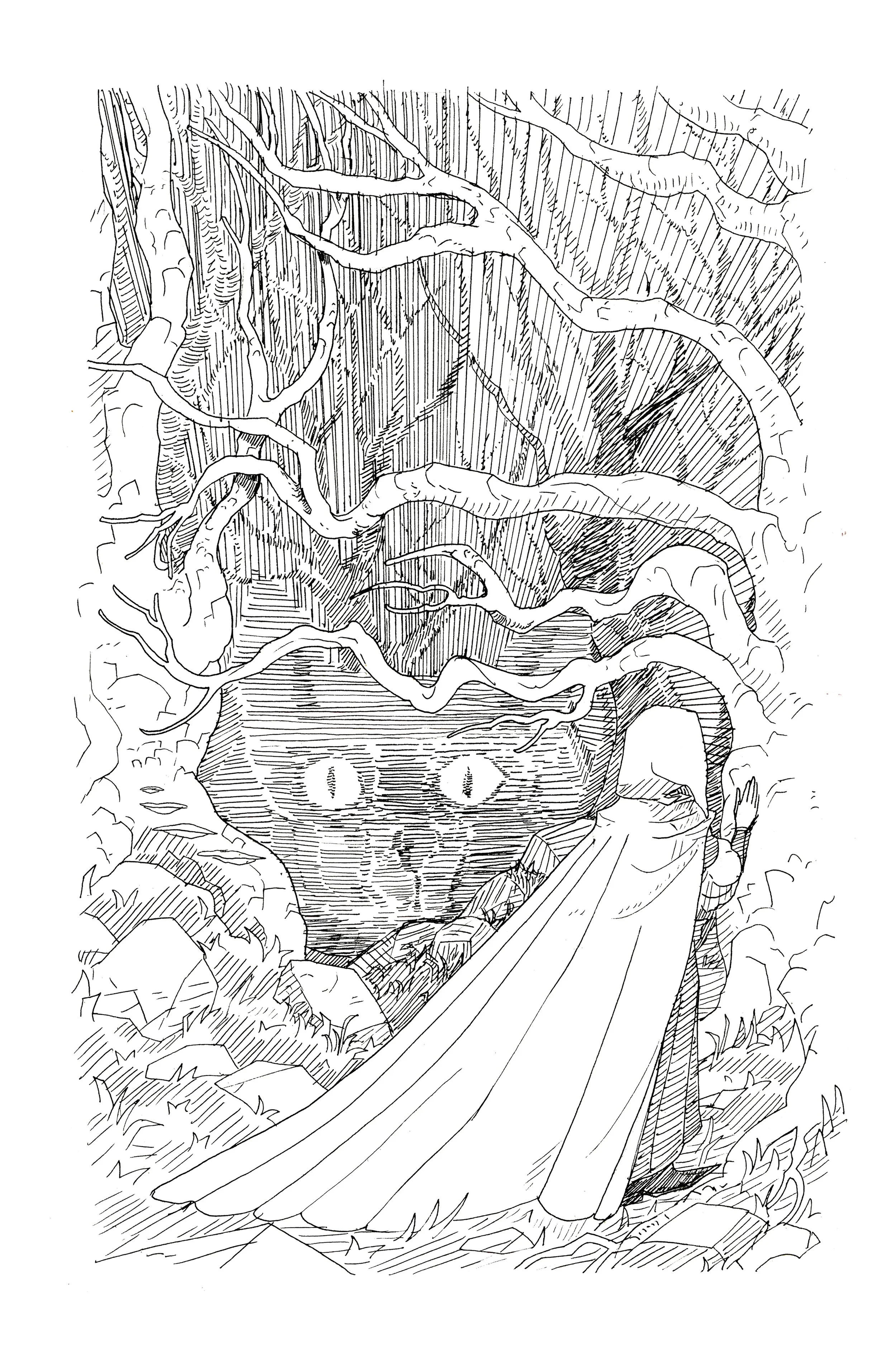 woods.jpg
