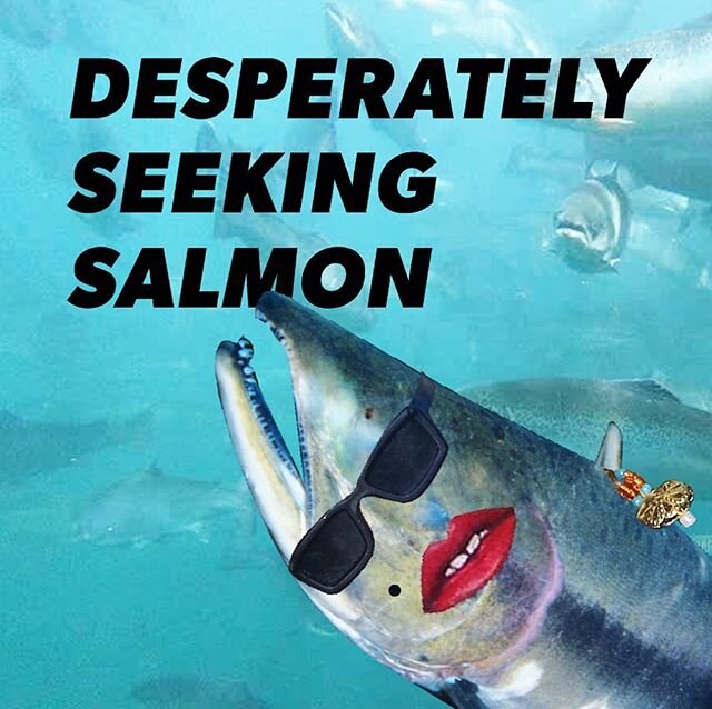 Every year, Salmon make a 500 mile journey upstream to spawn. This year the Pacific Northwest has seen its lowest salmon runs in a century, as they battle hydro electric dams and climate change. So this year, vote for the fish and don&rsquo;t leave i
