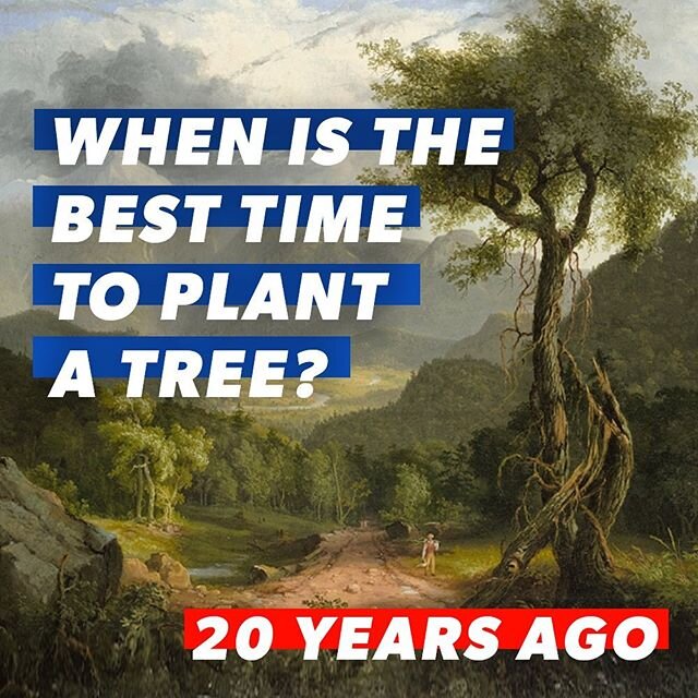 The next best time is today 🌳🌲🌴Make a treemendous donation to @rainforestalliance @wildtomorrowfund @nature_org this #Earthday