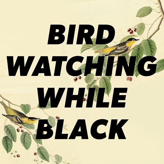 For us to see the change we want in the world outside, we must start inside🌳🌿🌴✊🏿✊🏽✊🏻
________________________________
Nature is too often a privilege reserved for the white and wealthy. That&rsquo;s bullshit. 
________________________________
T