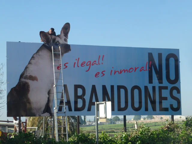 Este cartel ha sido adquirido de forma definitiva y emplazado en la localidad de Pilar de Horadada en una zona concurrida de la calle Mayor. Un agradecimiento especial a Grati ya su familia por permitirnos usar su terreno para la instalación y muchas gracias al fotógrafo belga Paul Croes por darnos permiso para usar su foto. ¿Quiénes son los maravillosos y generosos propietarios de este cartel? En ningún orden particular: Grati y la familia (Pilar de Horadada), Richard Fredrickson Sr. (EE.UU.), Galgos del Sol (Murcia), ADAM (Ayuda y Defensa de Animales Maltratados), Vicky Peña Loredo (Pilar de la Horadada), Bob Shepherd (Reino Unido), Ron y Ruth Bowden (Pinar de Campoverde), Tine Rosenjkaer y Grethe Marup (Dinamarca), Susanne y Ann (Dinamarca) Galgo-Moedestedet, Stiching Greyhound Rescue (Holanda), Sharon Cogner (EE.UU.), Joy Sandford Australia), Celia Castejon (Pilar de Horadada).