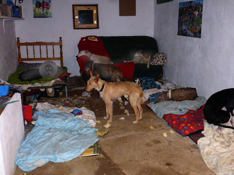 Old Finca 2 interior