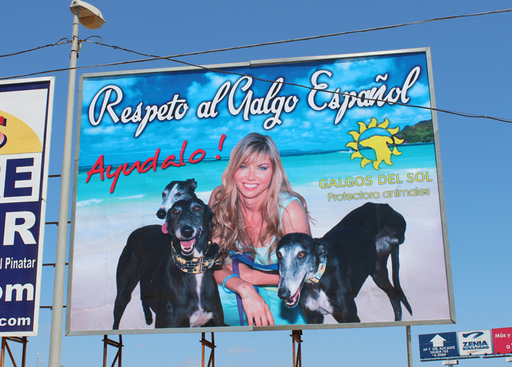 Ubicación: Cc319 autovía en Pozo Aledo. Los voluntarios decidieron que la Presidenta apareciera en el próximo cartel. Aquí está Tina con Ella, Javi y Katie en la autovía Cc3319 difundiendo el mensaje: Respeta el Galgo Español.