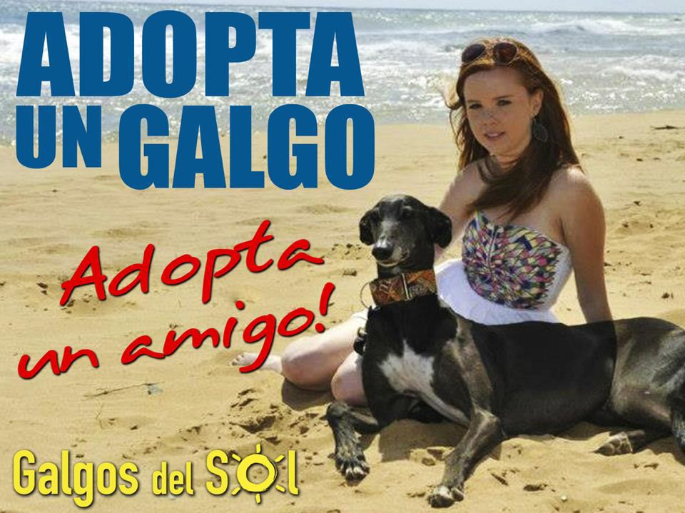 Ubicación: Cc319 autovía en Pozo Aledo. Muchas gracias a nuestra estrella Zoe, que es la chica guapa de la foto con nuestro Lucas. Muchas gracias a Gareth Doolan que tomó esta foto maravillosa y pasó el día con nuestros galgos. Gracias también a las personas que donaron para la colocación del cartel que se encuentra junto a Galgos del Sol; Brooke Shenson, Monica Whitman, Shirley Latta y Protectora ADAM en Pilar de Horadada.