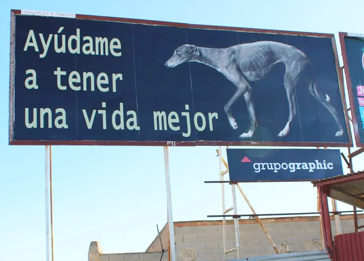 Ubicación: Murcia, San Javier, diseñado y donado por Dutch Galgo Lobby.