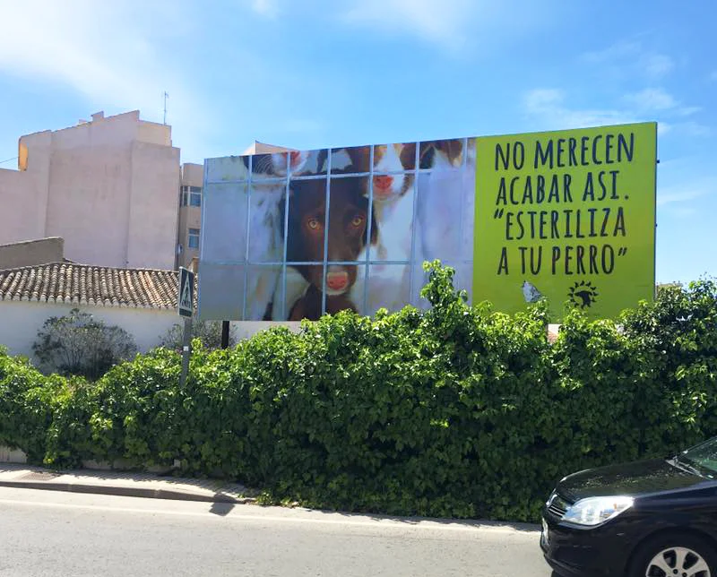 Nuestro último cartel fue instalado en asociación con la protectora ADAM y Grati.No merecían esto. ESTERILIZA A TUS PERROSCon perreras desbordadas y siendo el abandono de los perros un hecho cotidiano, queríamos centrar la atención especialmente en …