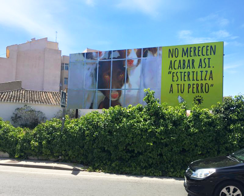 Nuestro último cartel fue instalado en asociación con la protectora ADAM y Grati.No merecían esto. ESTERILIZA A TUS PERROS Con perreras desbordadas y siendo el abandono de los perros un hecho cotidiano, queríamos centrar la atención especialmente en la esterilización de las mascotas. Hay tantos perros indeseados en España, que todos los días cientos se envían a otros países. Tenemos que empezar a atacar la raíz del problema. Seguir enviándolos fuera nunca resolverá las cosas aquí en el terreno a largo plazo. Las vallas y carteles se complementan con otras áreas de educación. Seguro que reconoces estas naricitas ... es la pandilla de Pria Foto y diseño de nuestra colaboradora Marylou Hecht.