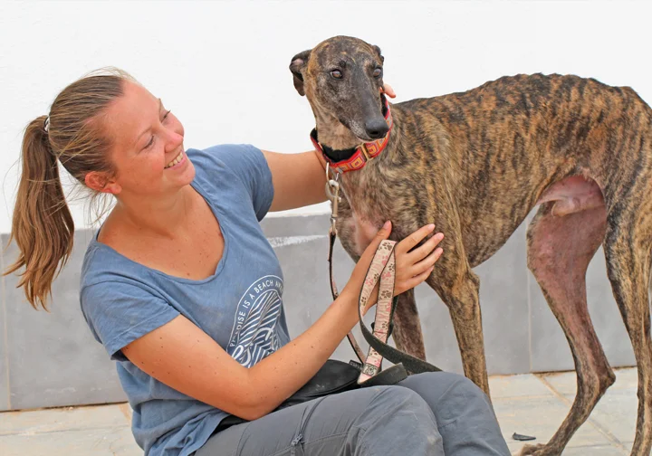 Apollo with volunteer Hannah.