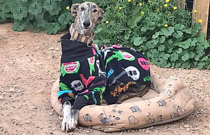 lucas_outside.jpg