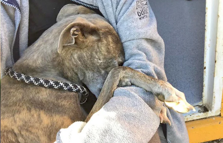 Cuddles on the Luna’s first day at GDS!