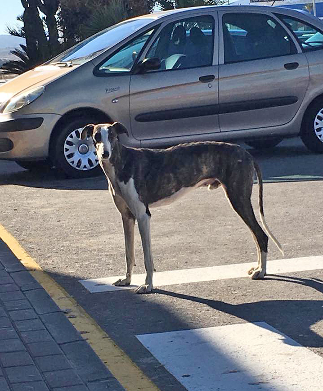 Duke living near the motorway.