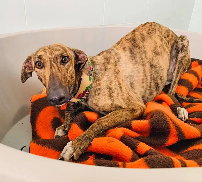 Newly arrived at GDS.