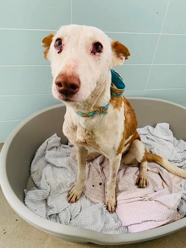 Dina in quarantine at GDS.