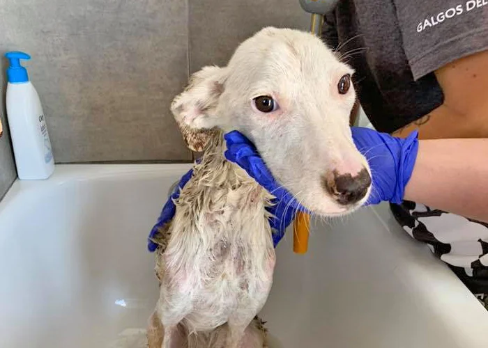 Maria having her first bath at GDS!