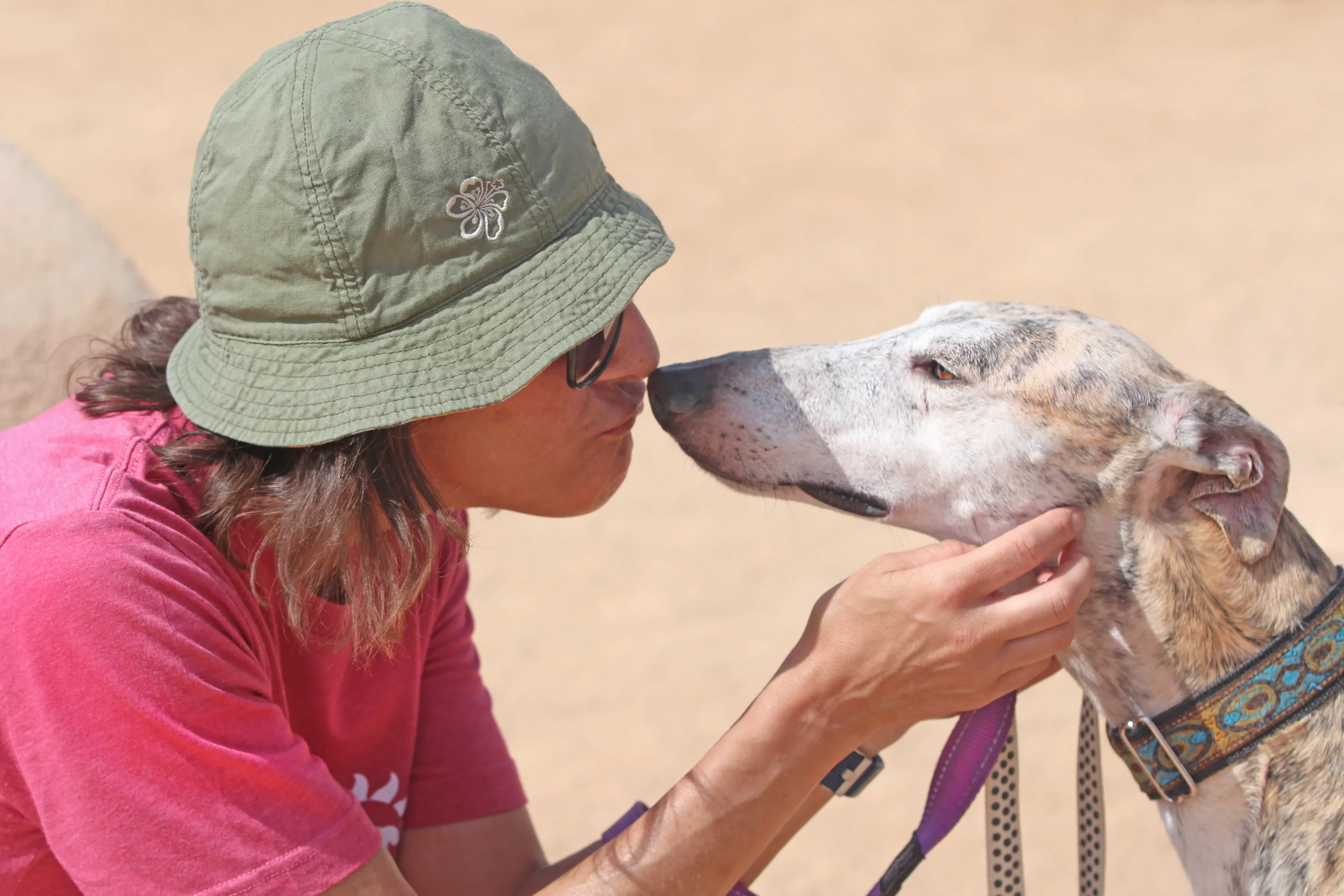 Jaxon enjoying smooches with volunteer Trisha!