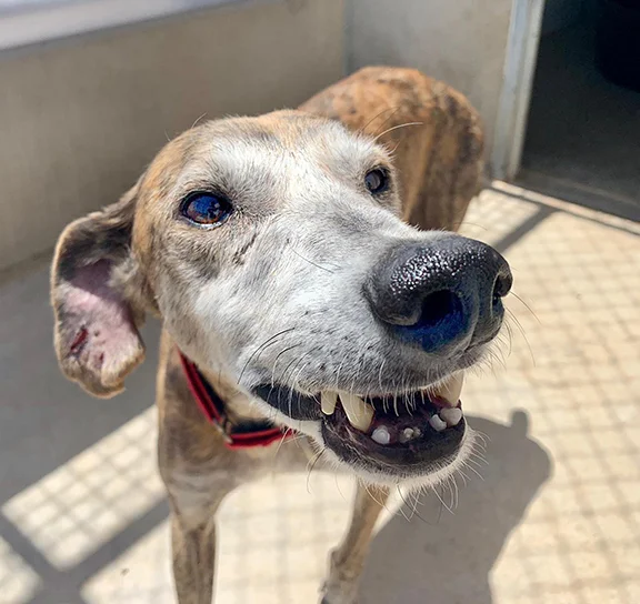 Smiles!