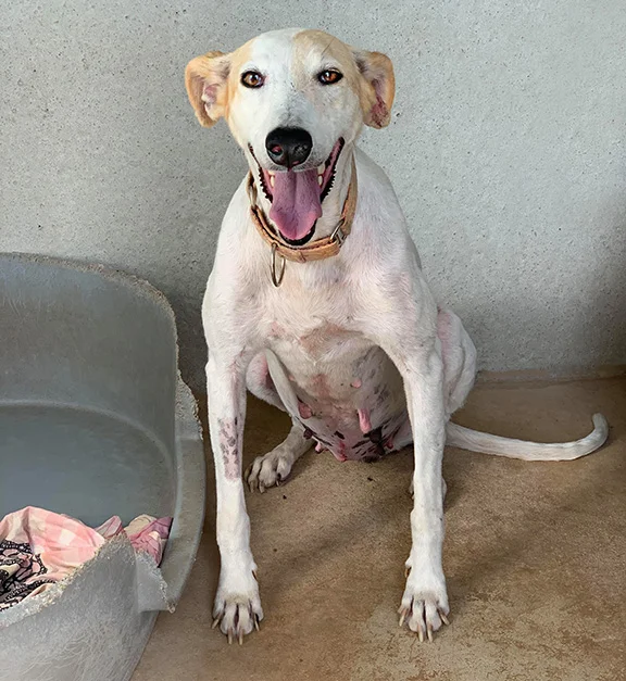 All healed and raring to go!