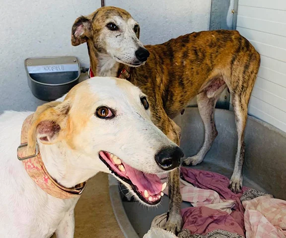 pancake_more smiles.jpg