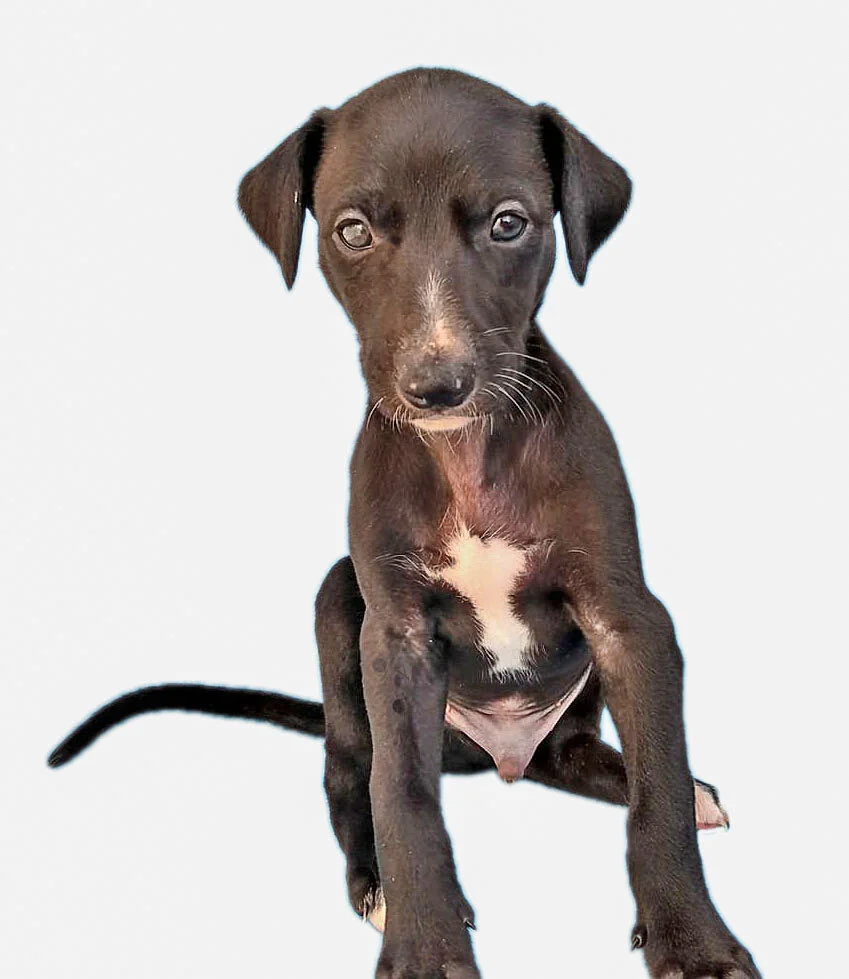cooper_1 copy.jpg