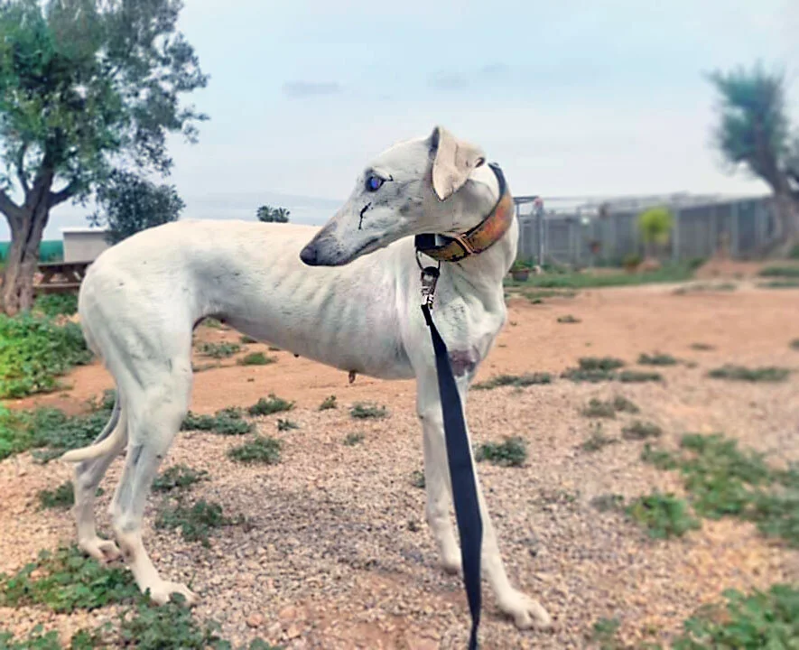 sailor outside_4666.jpg