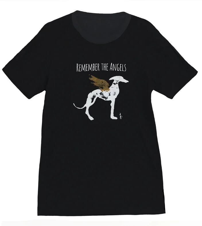 angel tee uni front.jpg