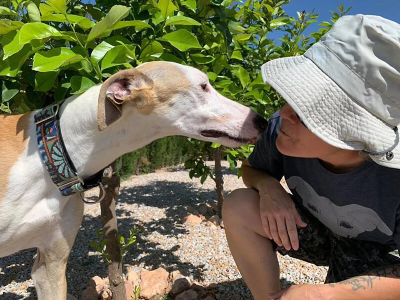 Ghandi and Sam sharing a moment.