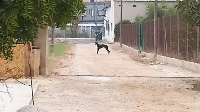 Midnight on the streets.