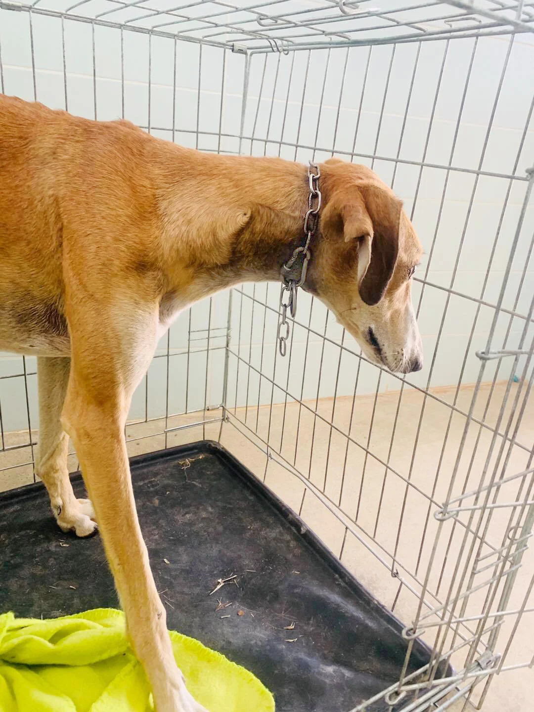 Newly arrived to GDS.