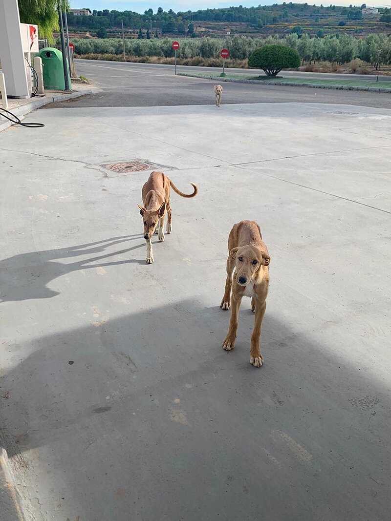 Living rough at the petrol station.