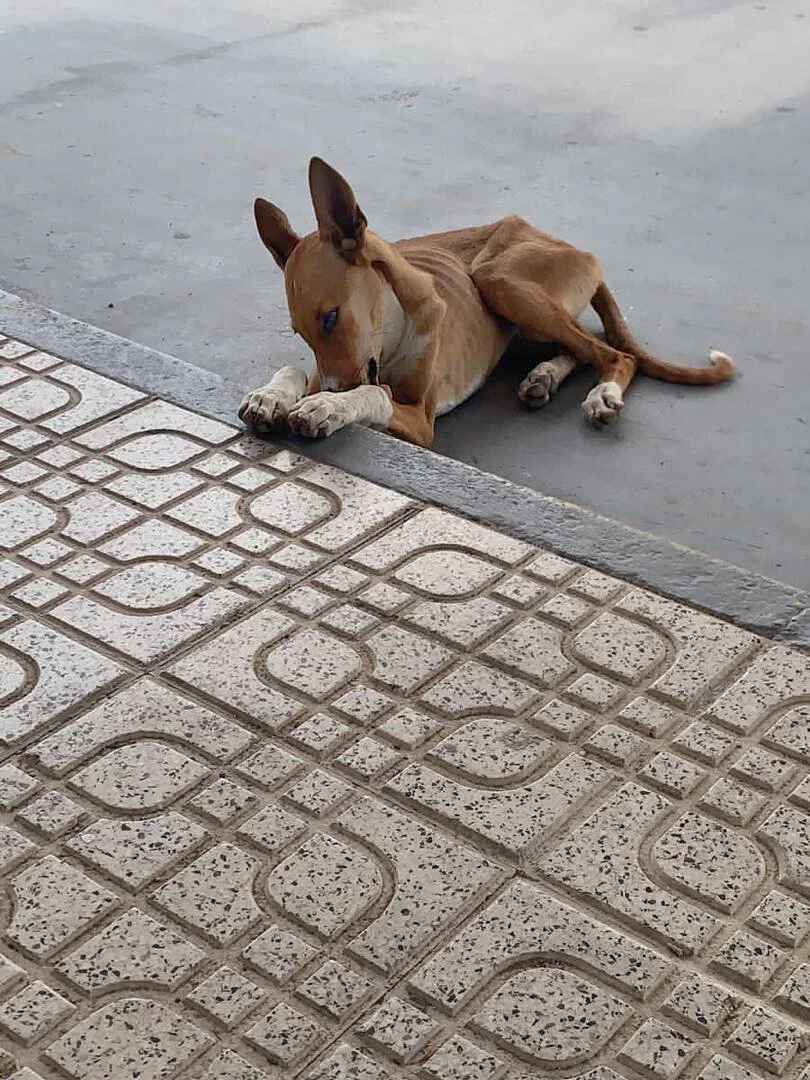 Shelly at the station.