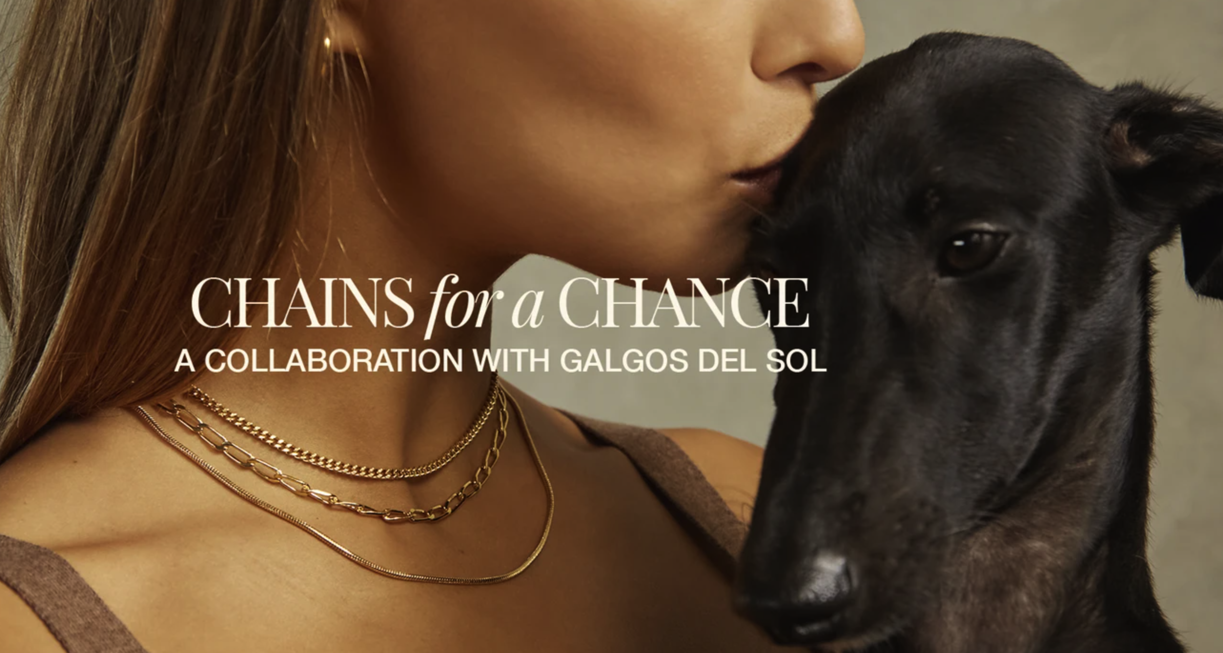 Screen Shot 2020-11-12 at 3.23.23 PM.png