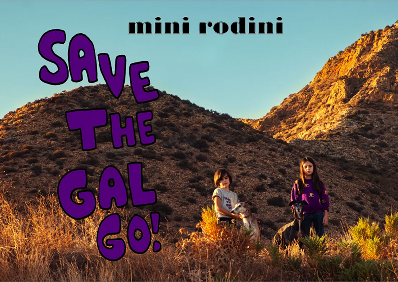 Screen Shot 2020-11-22 at 6.08.00 PM.png