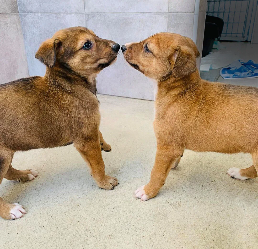 Kirra and Marli.