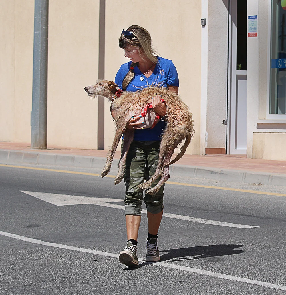 rescue fuzzpants_8365 sm.jpg