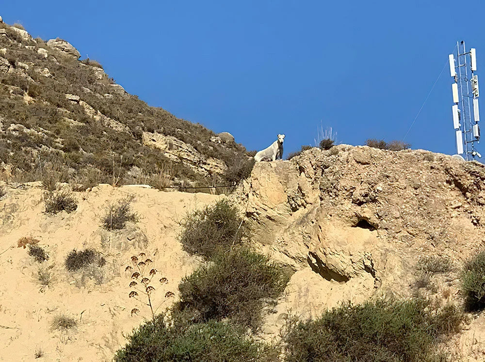 galga in mts-gigapixel-scale-2_00x.jpg