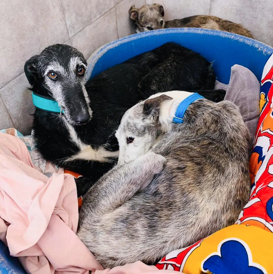 Happier now with Milagros joining them.