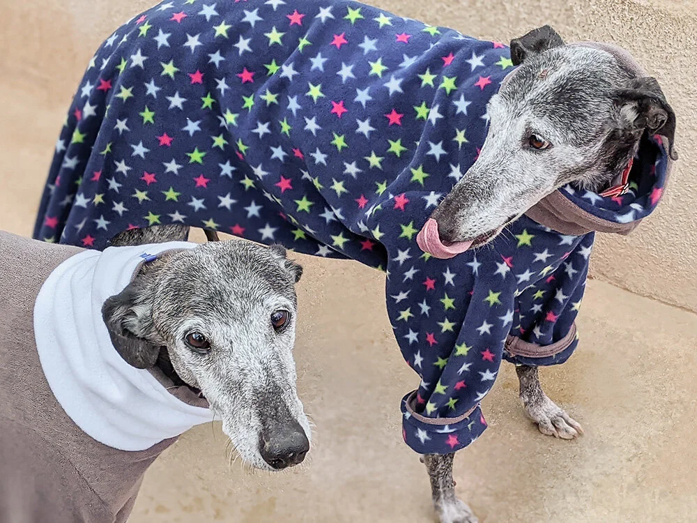 Enjoying their pj’s!