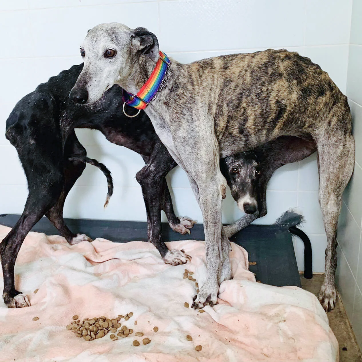 Joy with Jenny hiding behind her.