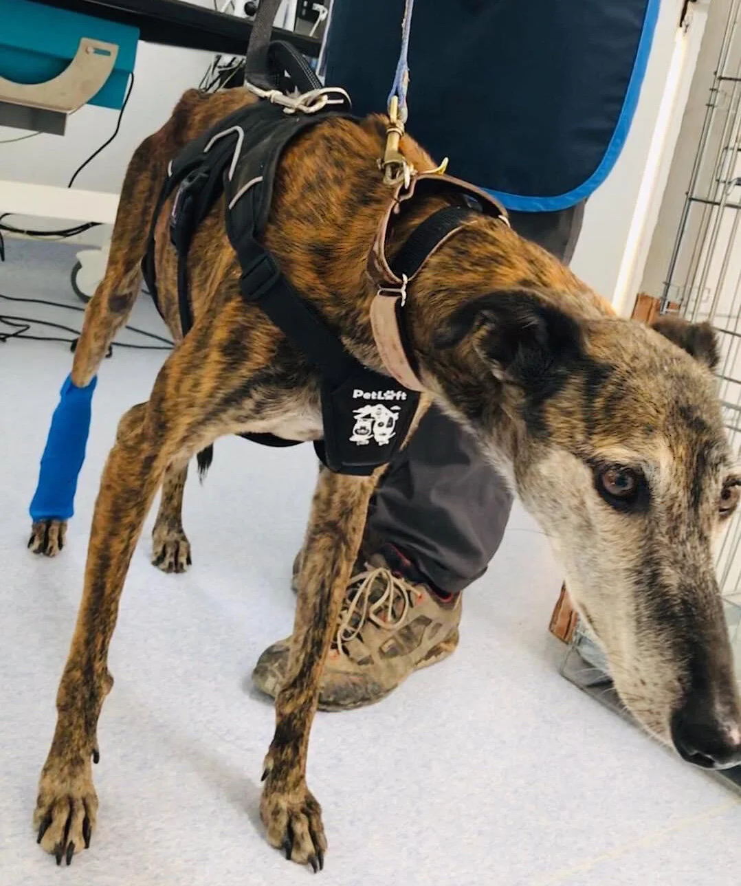 Wrapped and ready to go.