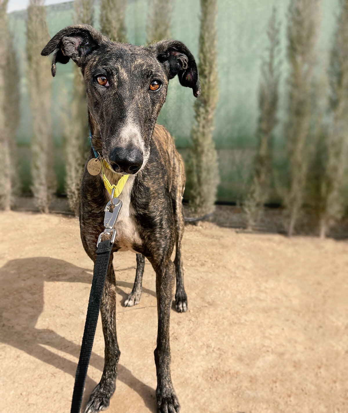 pathos2_edit copy.jpg