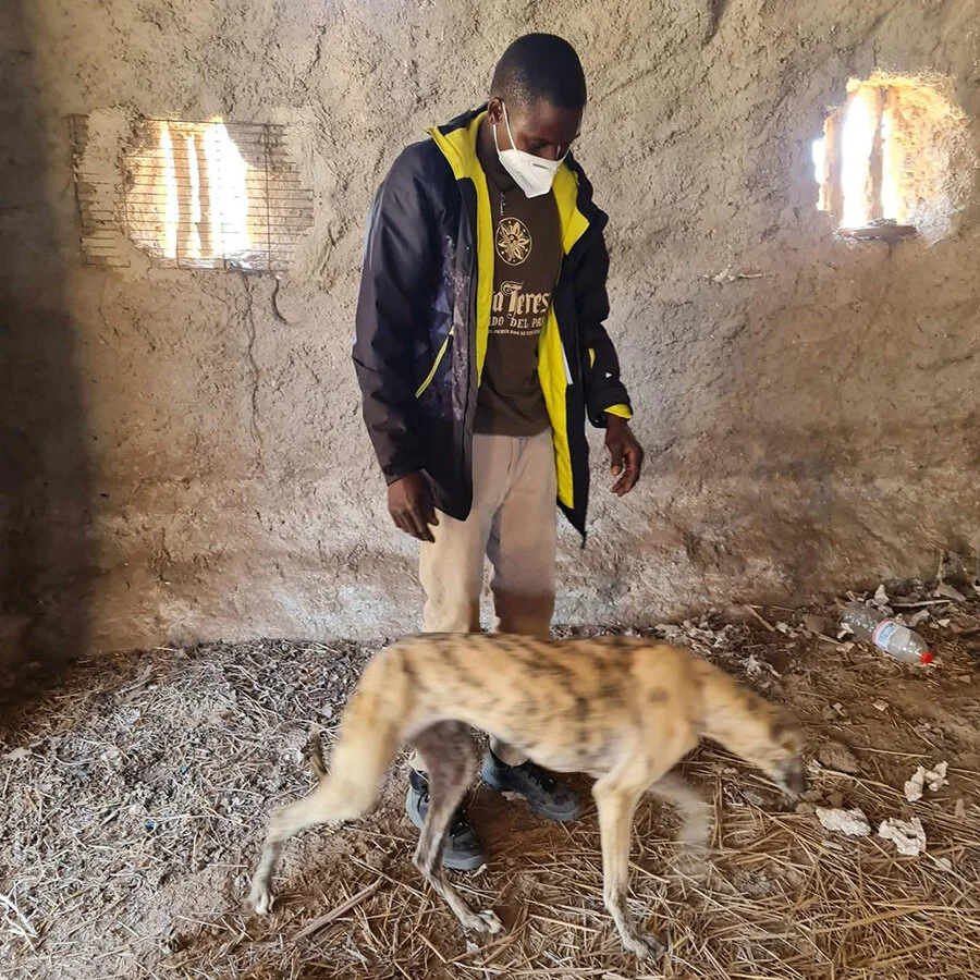 Tweety where she sought safety.