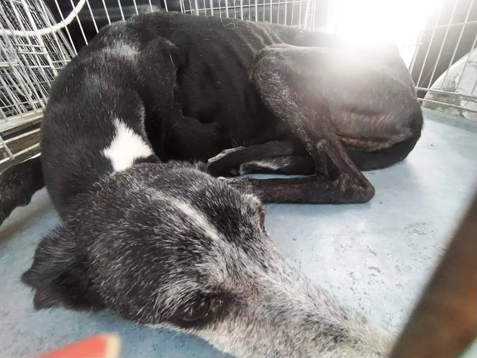 Safe and on her way to GDS.