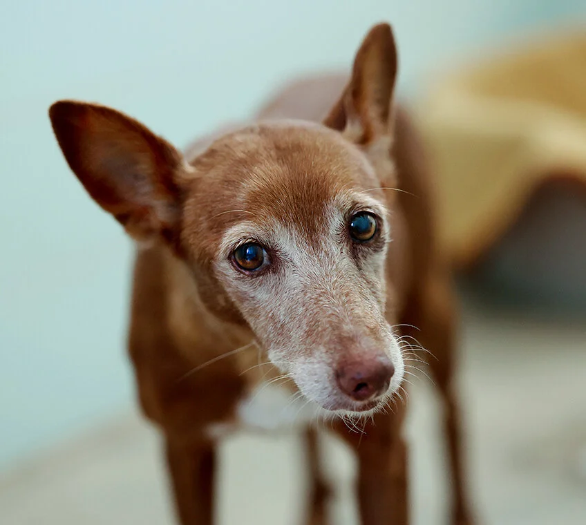 ethel 6T6A6249_1.jpg